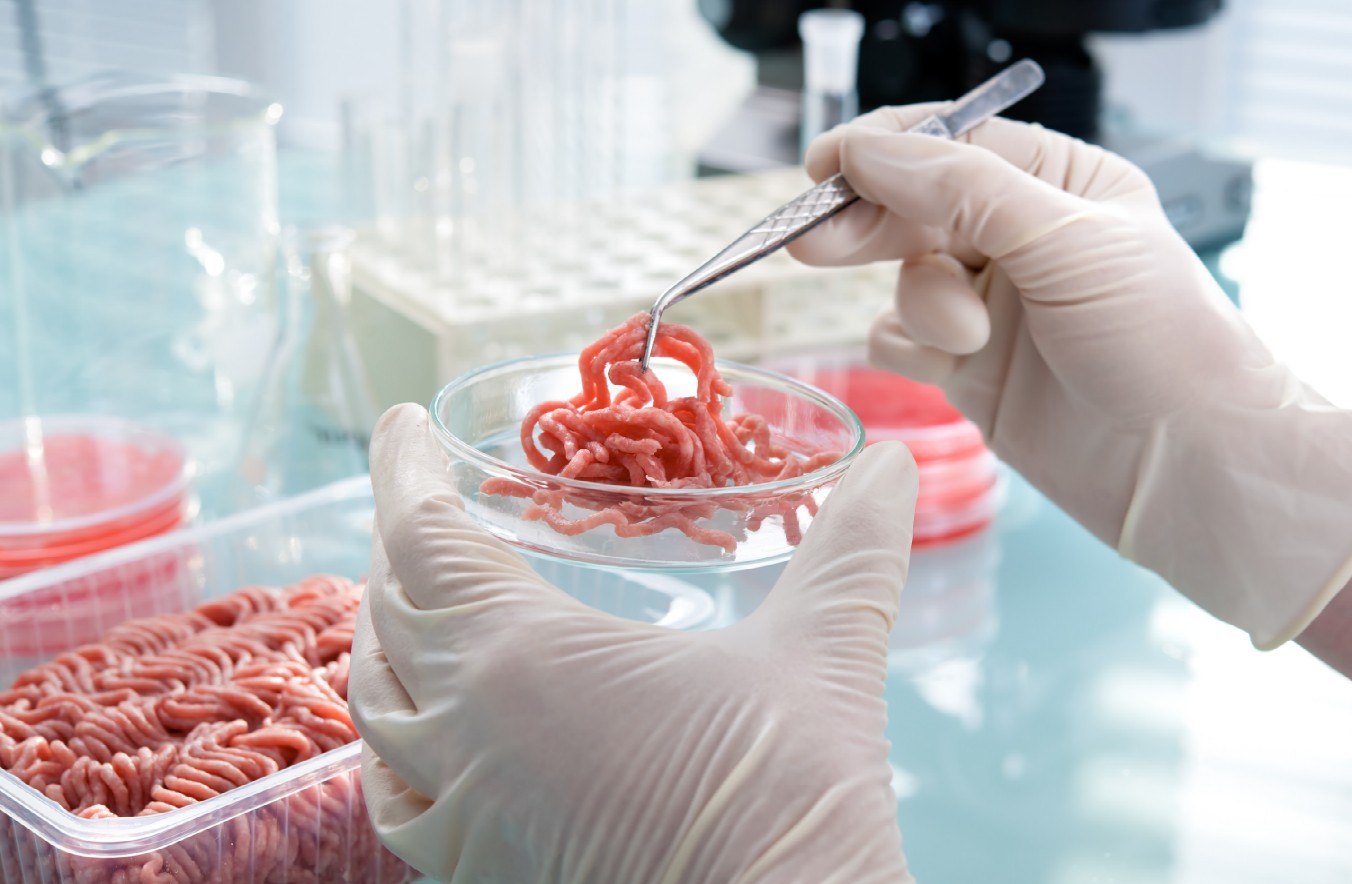 Определение срока годности продуктов